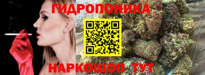 гидра Обь