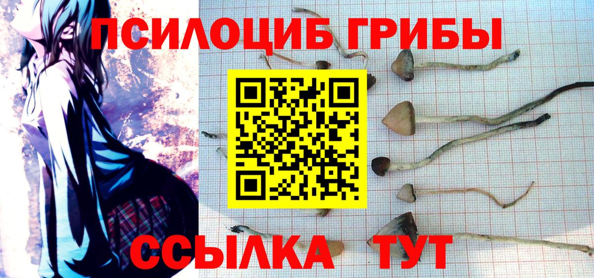 цена   Псилоцибиновые грибы Cubensis  Вход с VPN  Торжок 