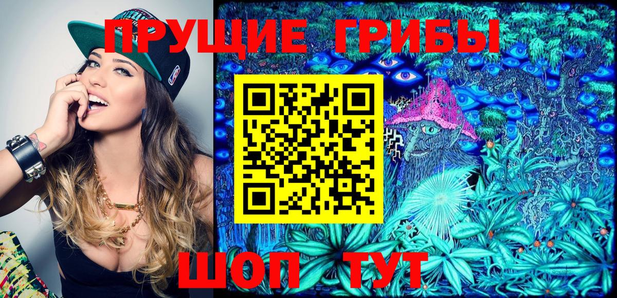 Псилоцибиновые грибы Psilocybe Торжок